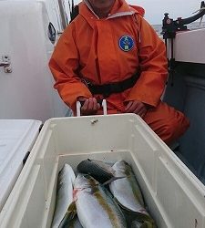 海龍丸(福岡) 釣果