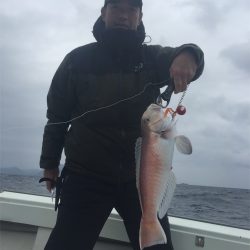 マタウマリンサービス 釣果