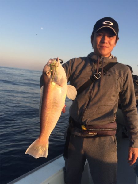 マタウマリンサービス 釣果