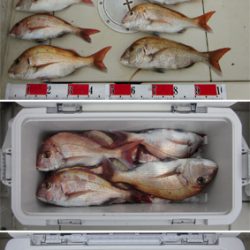 来温丸(らいおんまる) 釣果