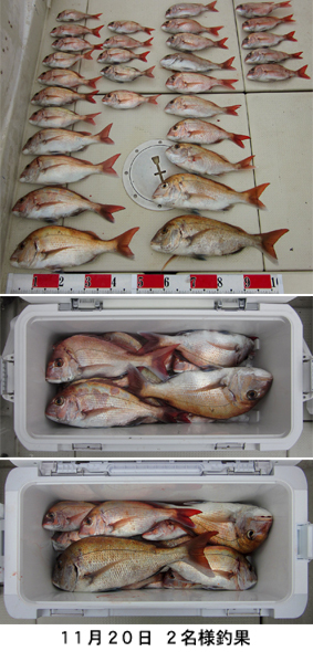 来温丸（らいおんまる） 釣果