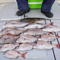 松本釣船2 釣果