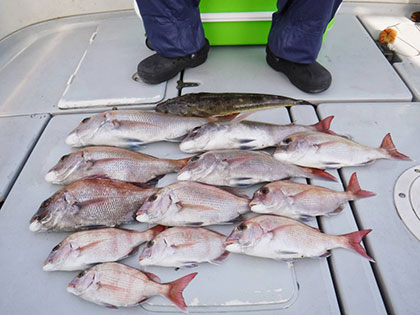 松本釣船２ 釣果