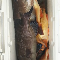 モンロー号 釣果