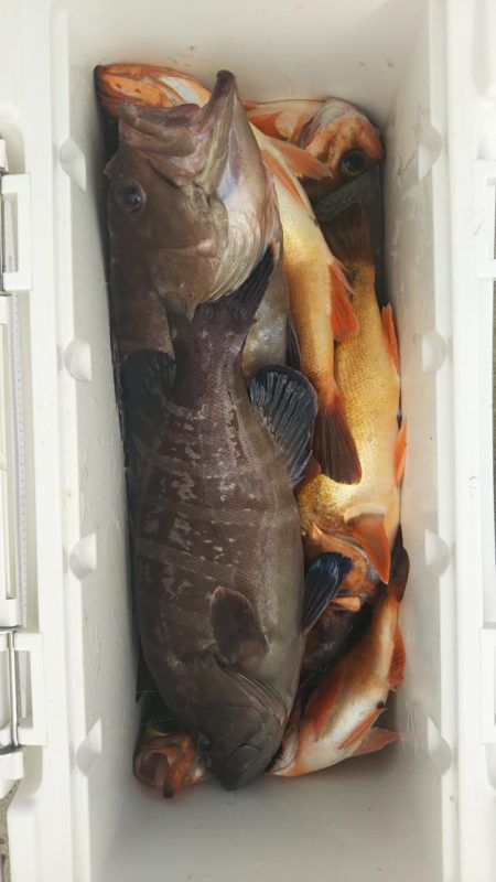 モンロー号 釣果