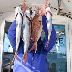 松本釣船2 釣果