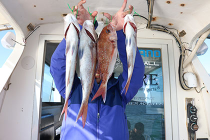 松本釣船2 釣果