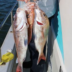 松本釣船2 釣果