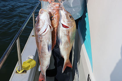 松本釣船2 釣果