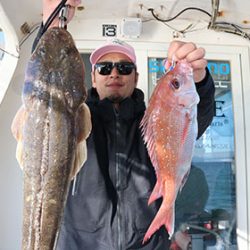松本釣船2 釣果