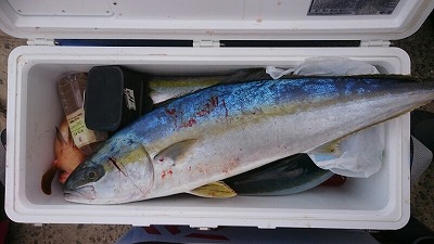 海龍丸（福岡） 釣果