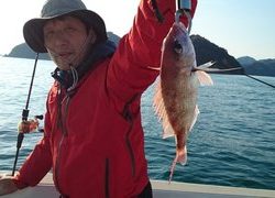 愛裕南丸 釣果