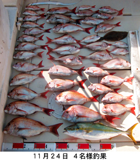 来温丸（らいおんまる） 釣果
