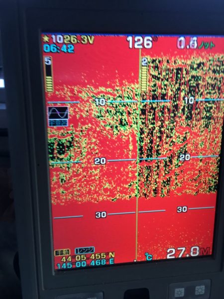 第八平成丸 釣果