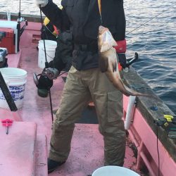 第八平成丸 釣果