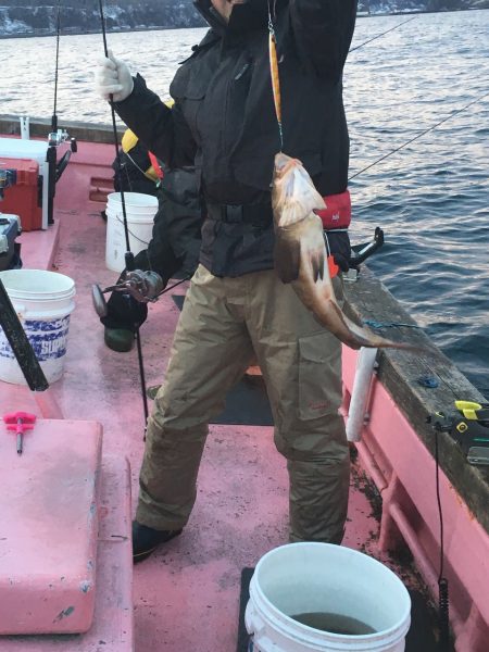 第八平成丸 釣果