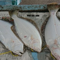 明神釣船 釣果
