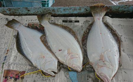 明神釣船 釣果
