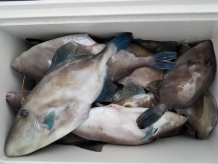 オーフリー 釣果