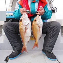 松本釣船2 釣果