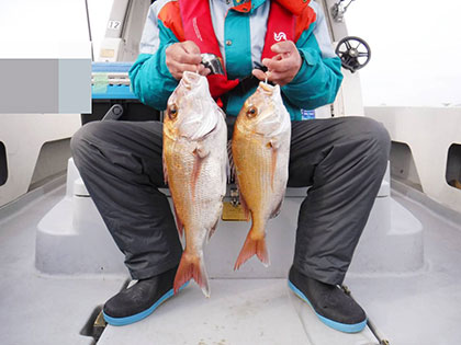 松本釣船2 釣果