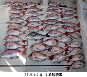 来温丸（らいおんまる） 釣果