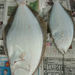 明神釣船 釣果