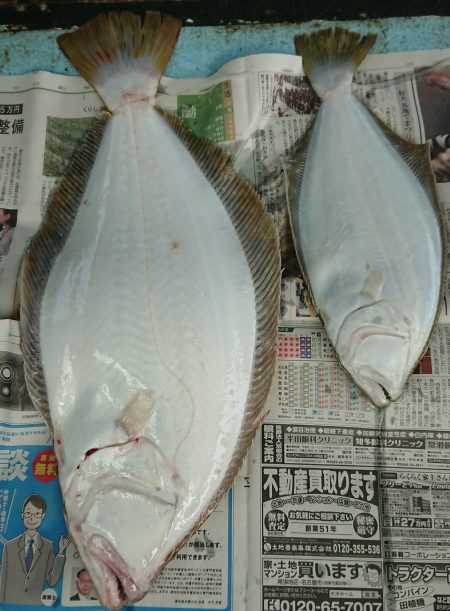 明神釣船 釣果
