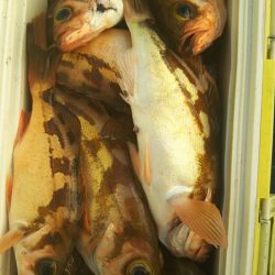 モンロー号 釣果