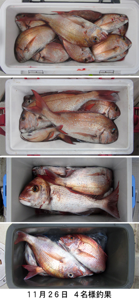 来温丸（らいおんまる） 釣果