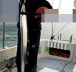 松本釣船２ 釣果