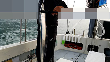 松本釣船２ 釣果