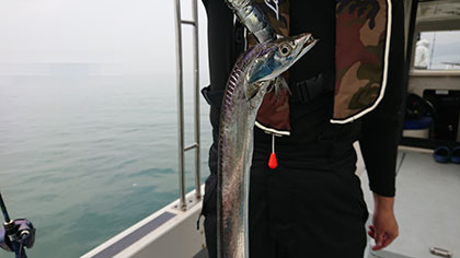 松本釣船２ 釣果