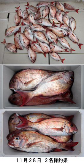 来温丸（らいおんまる） 釣果