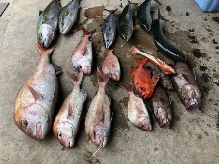 長栄丸(千葉) 釣果