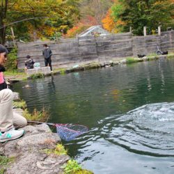 小菅トラウトガーデン 釣果