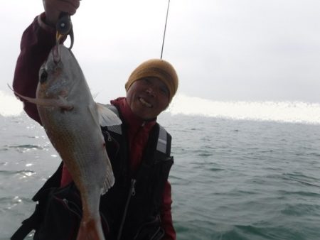 遊漁船 幸友丸 釣果