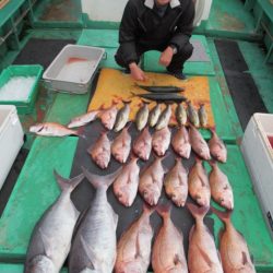 真祐丸 （しんゆうまる） 釣果