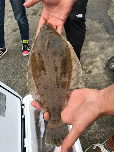 へいみつ丸 釣果