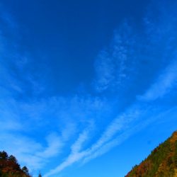 小菅トラウトガーデン 釣果