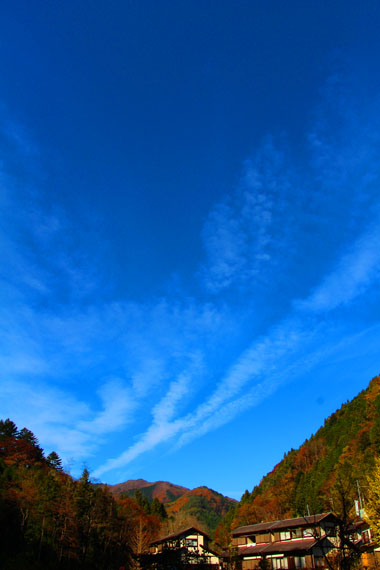 小菅トラウトガーデン 釣果