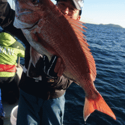 遊漁船ブルーウッズ 釣果