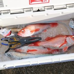 へいみつ丸 釣果