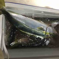 龍宮丸 釣果