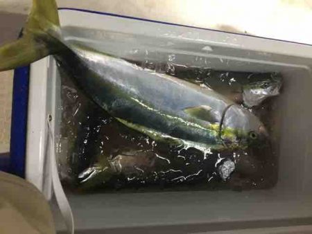 龍宮丸 釣果