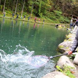 小菅トラウトガーデン 釣果