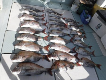 遊漁船 幸友丸 釣果