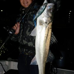 Marine T Design　マリンティーデザイン 釣果