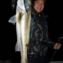 Marine T Design　マリンティーデザイン 釣果