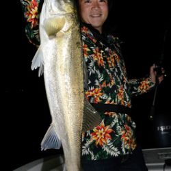 Marine T Design マリンティーデザイン 釣果